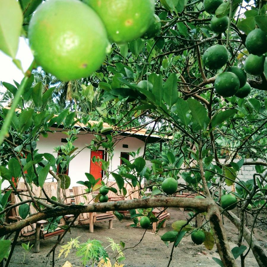 Safsia Homestay Toyapakeh Exterior photo