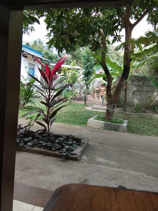 Safsia Homestay Toyapakeh Exterior photo